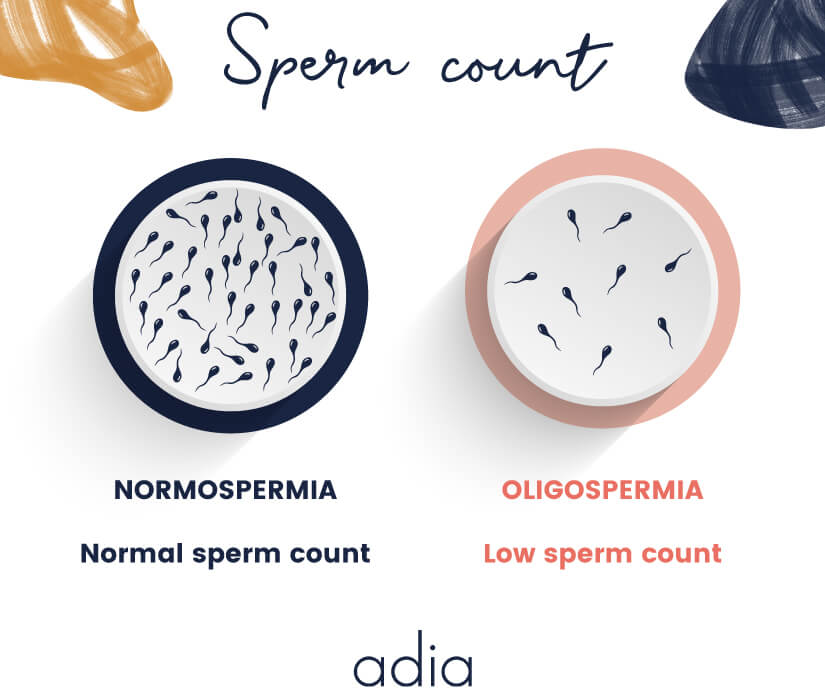 terminology Sperm count